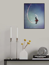 Hooked Poster och Canvastavla