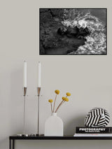 Winning Smile Poster och Canvastavla