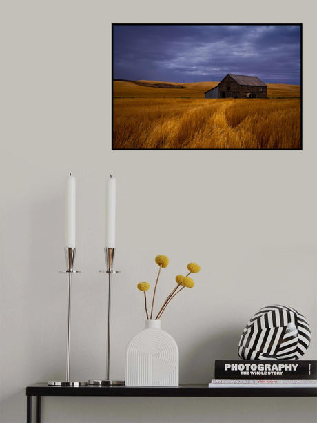 Serene Wheat Field Poster och Canvastavla