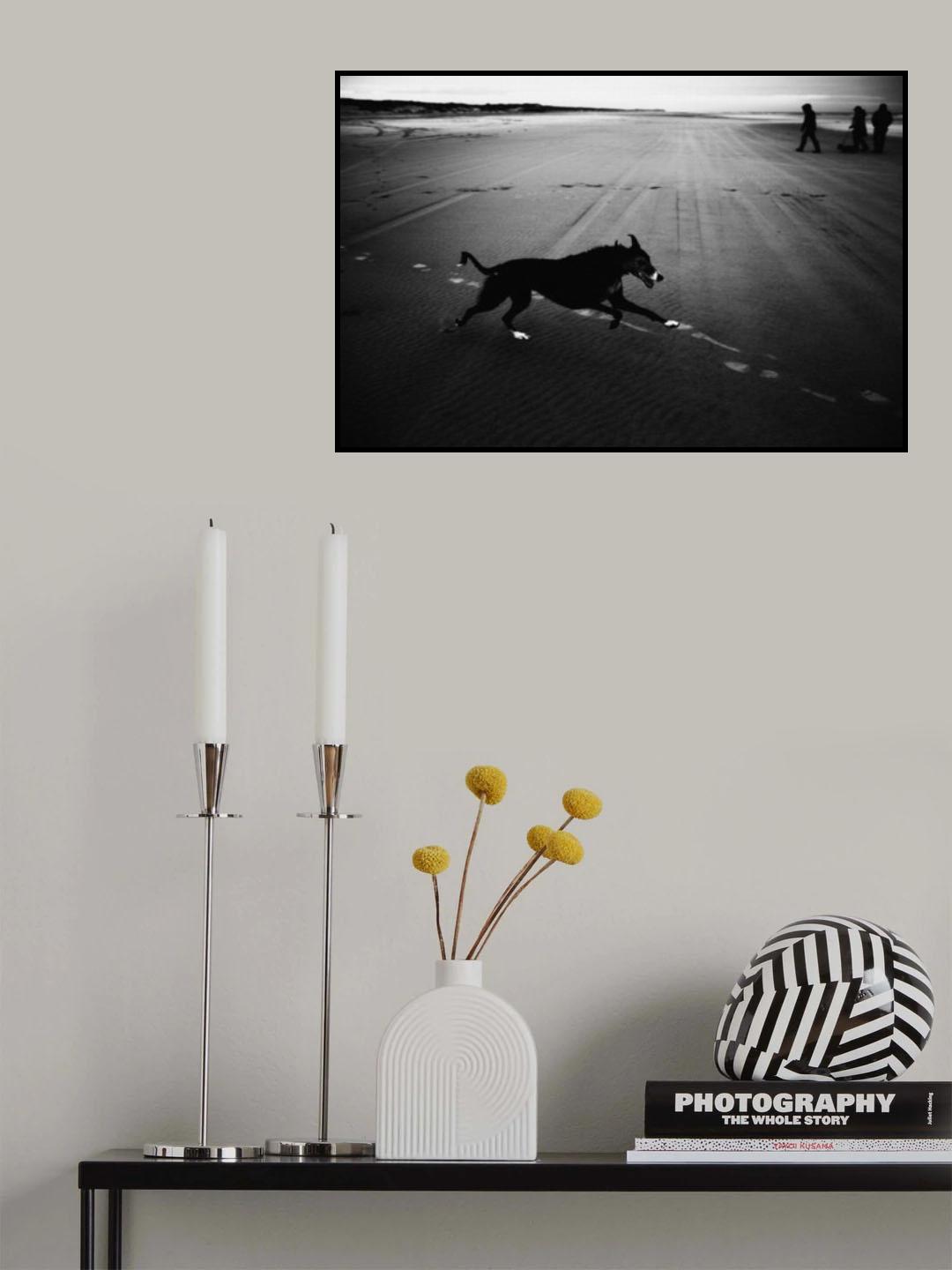 dog Poster och Canvastavla