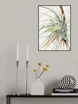 Wild Pineapple (1921) Poster och Canvastavla