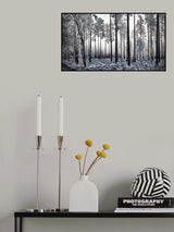 Winter Pine Trees II Poster och Canvastavla