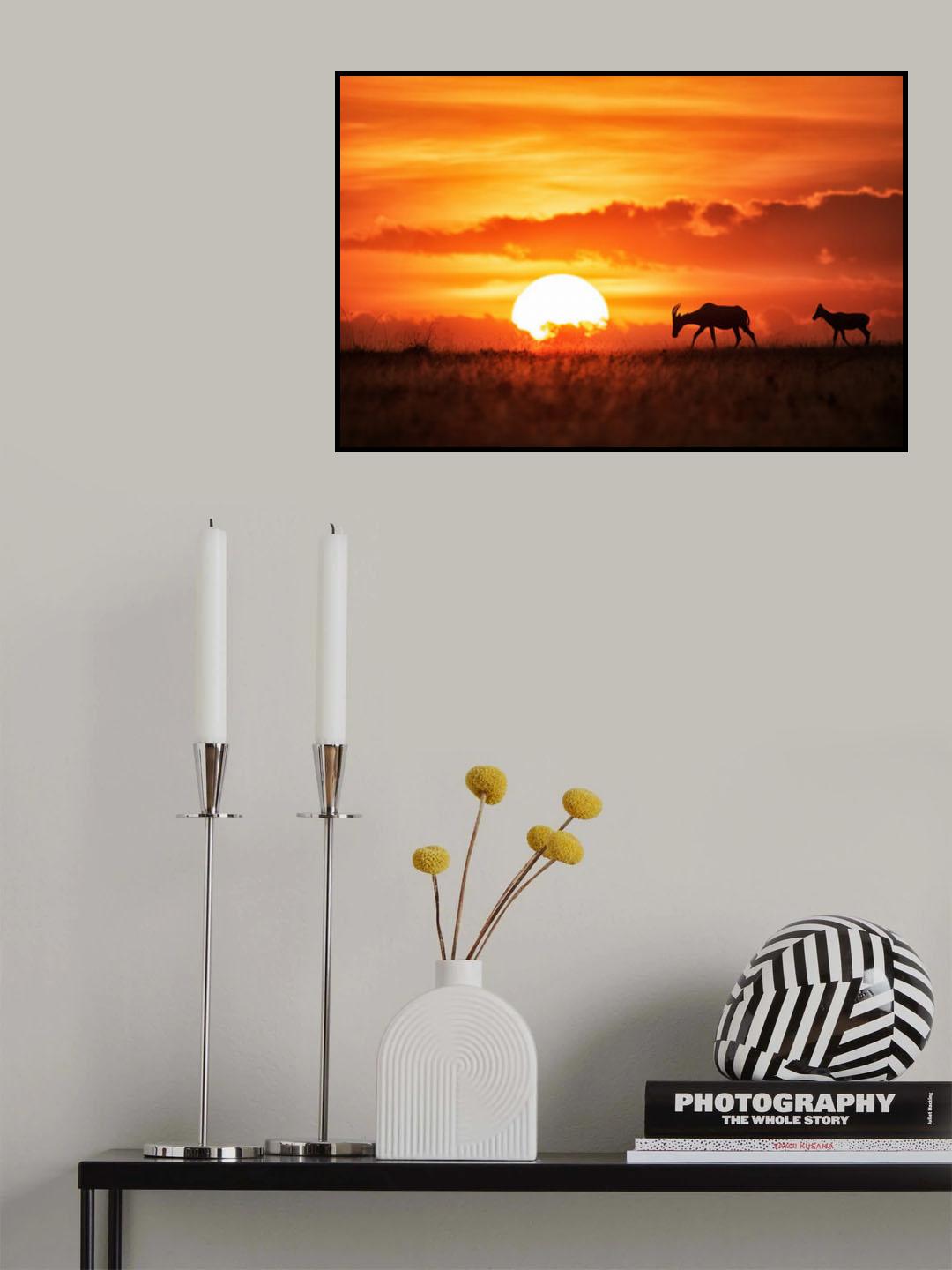 Sun rise Poster och Canvastavla
