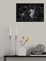 The wild tamer Poster och Canvastavla