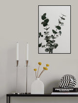 Eucalyptus Natural 04 Poster och Canvastavla