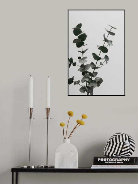 Eucalyptus Natural 04 Poster och Canvastavla