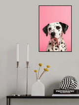 Pirate Dog Poster och Canvastavla
