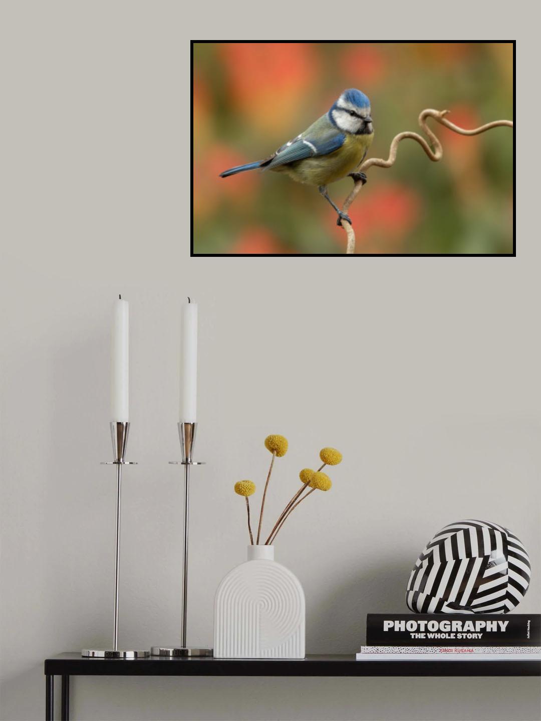 It's spring! Poster och Canvastavla