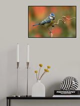 It's spring! Poster och Canvastavla
