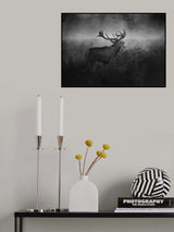 The Dark Side of the Woods... Poster och Canvastavla
