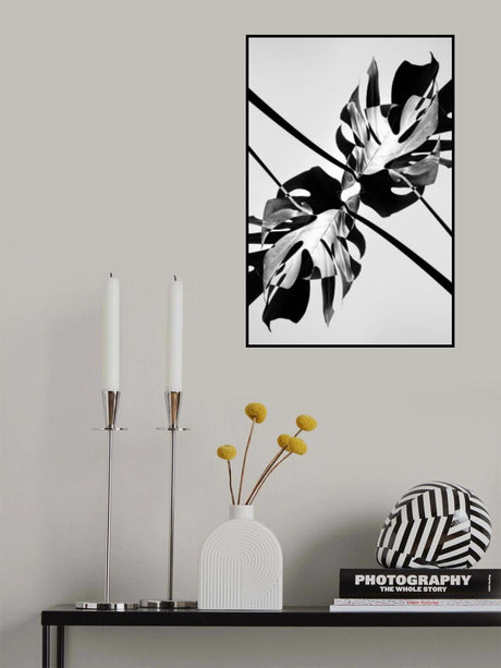 B&w Leaf Monstera Poster och Canvastavla