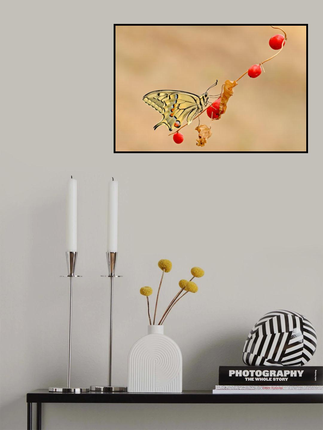 Red fruits Poster och Canvastavla