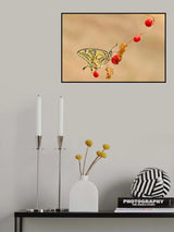 Red fruits Poster och Canvastavla