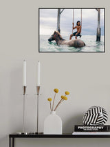 Sea Horses Poster och Canvastavla