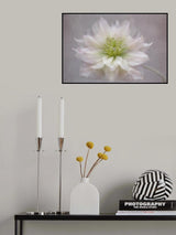 Beginnings Poster och Canvastavla