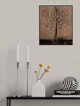 Asphalt tree Poster och Canvastavla