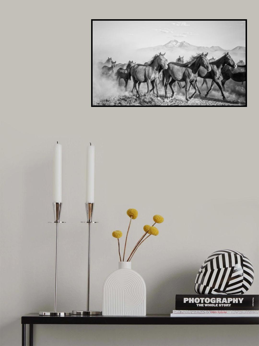 horses Poster och Canvastavla