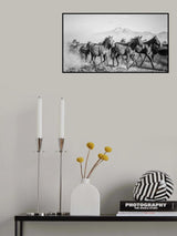 horses Poster och Canvastavla