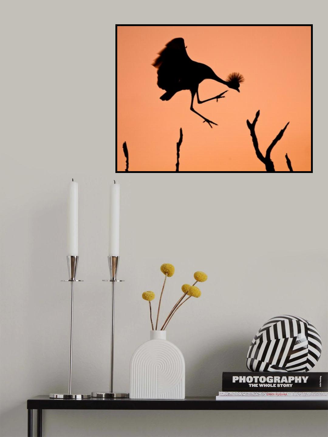 Mr. Crowned Crane A.K.A. Twinkle Toes Poster och Canvastavla