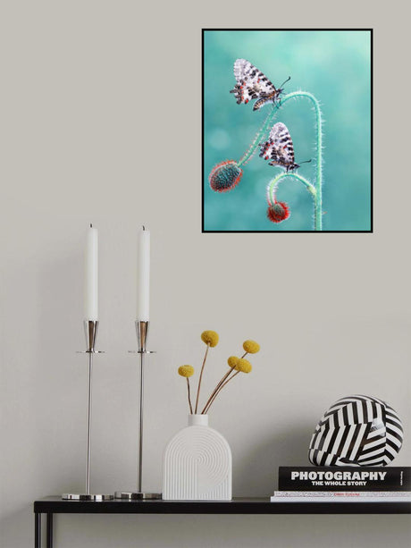 Friends Poster och Canvastavla
