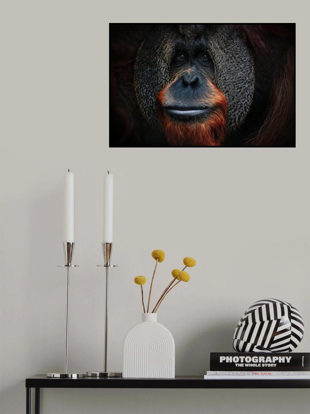THE MAN OF THE FORREST Poster och Canvastavla