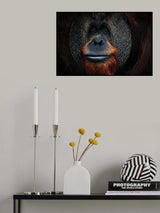 THE MAN OF THE FORREST Poster och Canvastavla