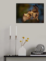 A Big Catch Poster och Canvastavla