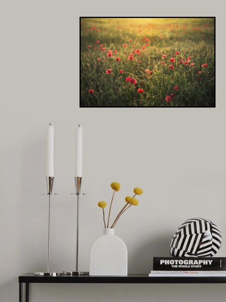 Poppy World III Poster och Canvastavla