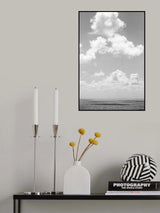 Shadow Play Poster och Canvastavla