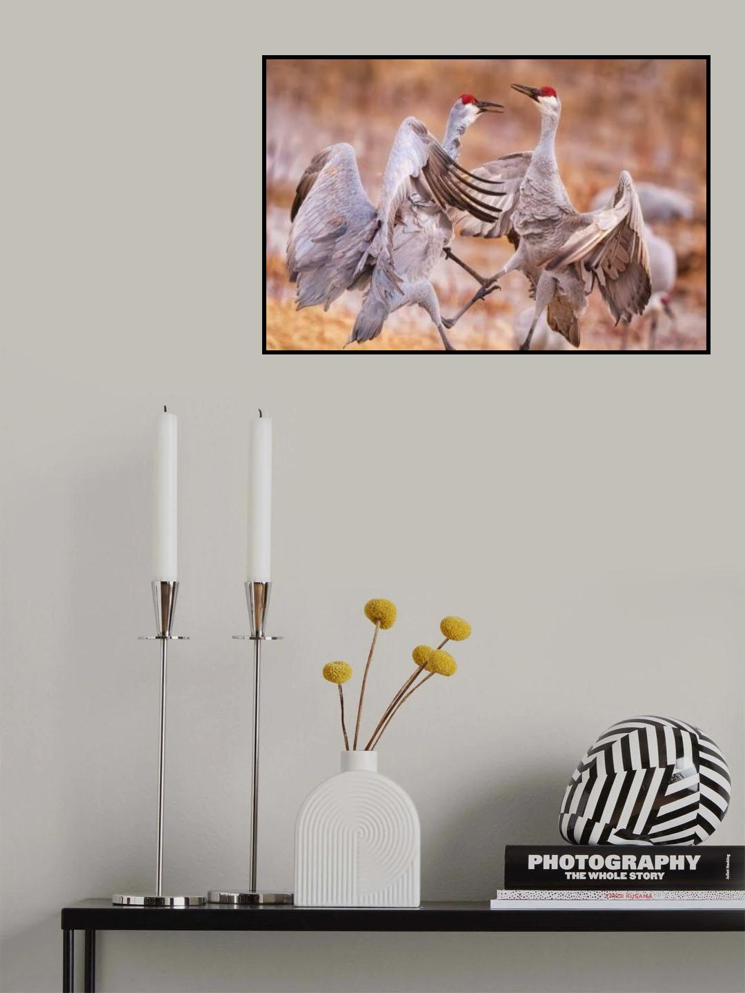 Mating Season Poster och Canvastavla