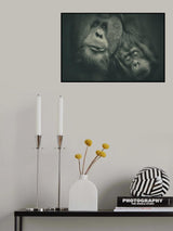 THE COUPLE  NEXT DOOR Poster och Canvastavla