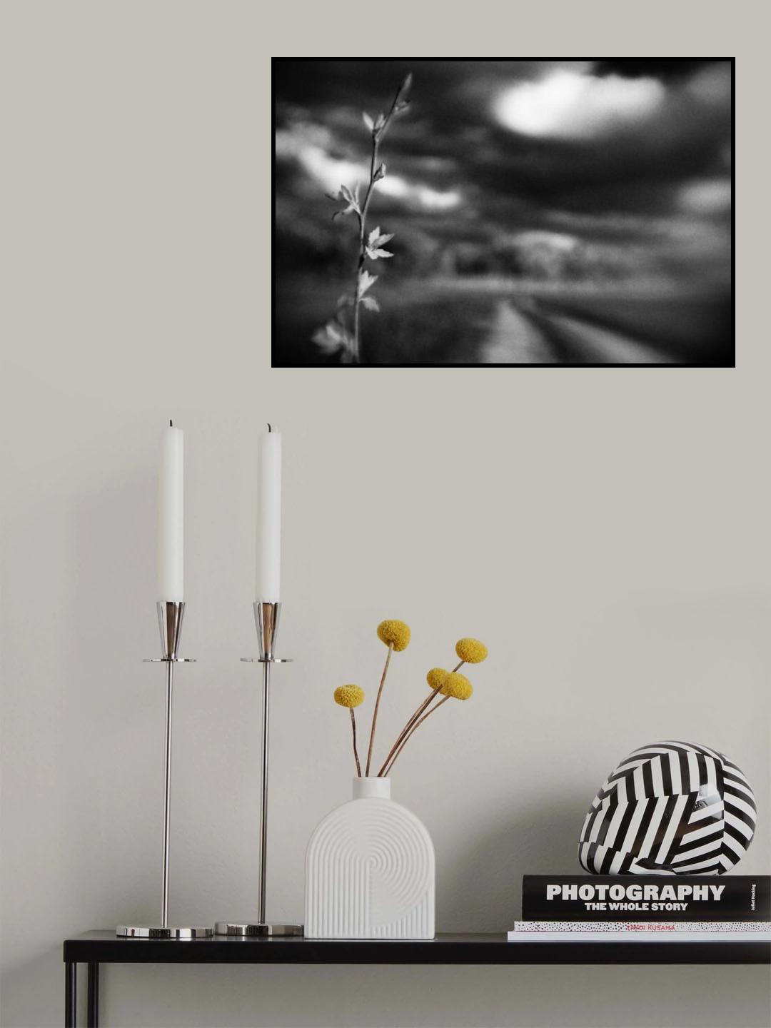 Poster och Canvastavla