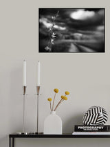 Poster och Canvastavla