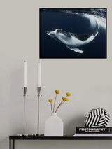 Beautiful turn Poster och Canvastavla