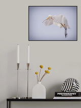 For A Pretty Nest Poster och Canvastavla