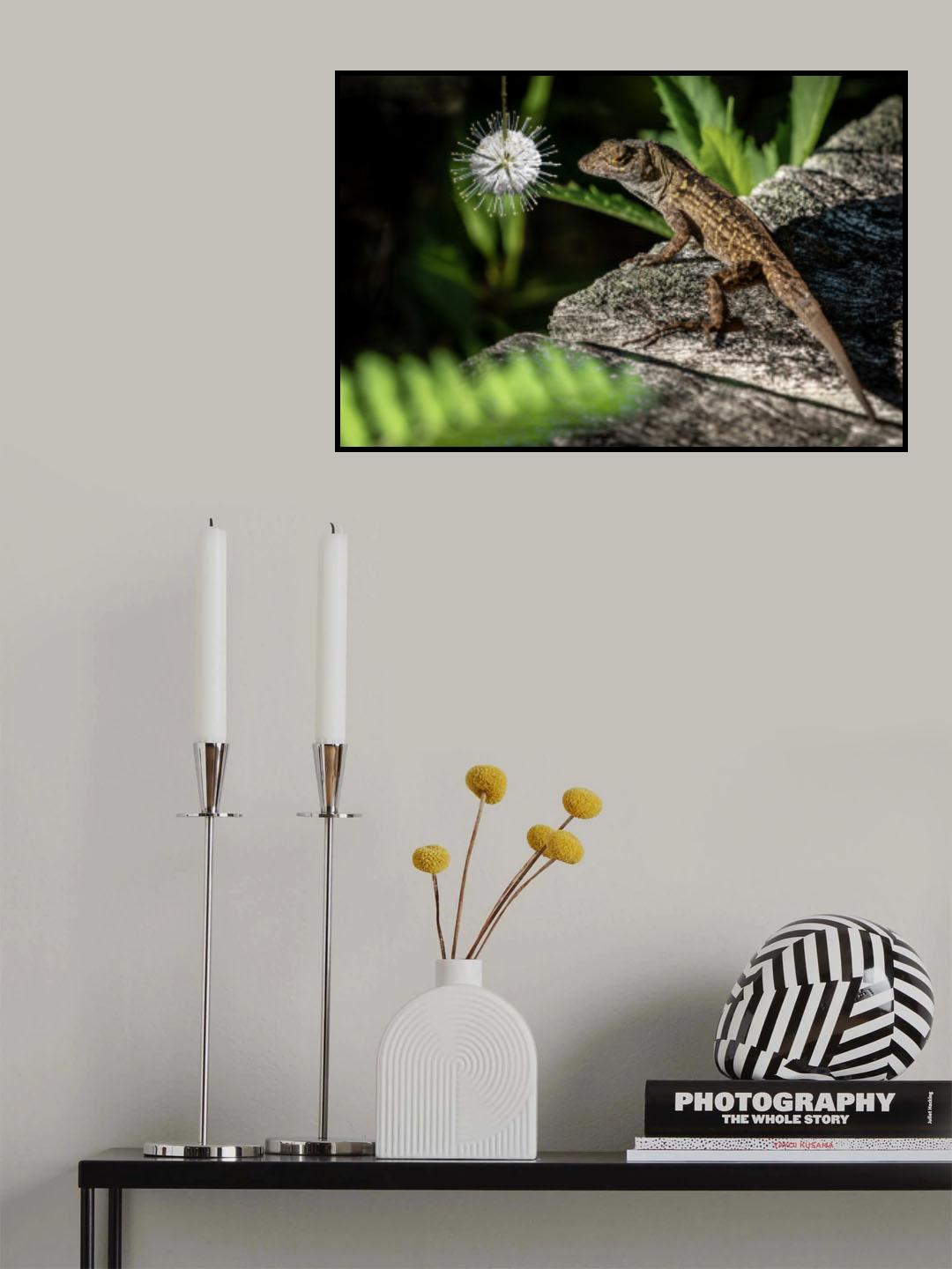 Iguana and Buttonbush Poster och Canvastavla