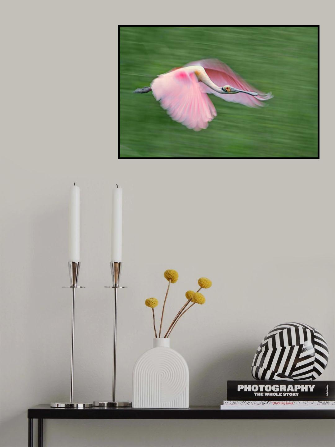 Pink and green Poster och Canvastavla