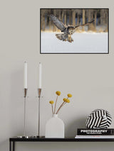 The Morning Catching Poster och Canvastavla