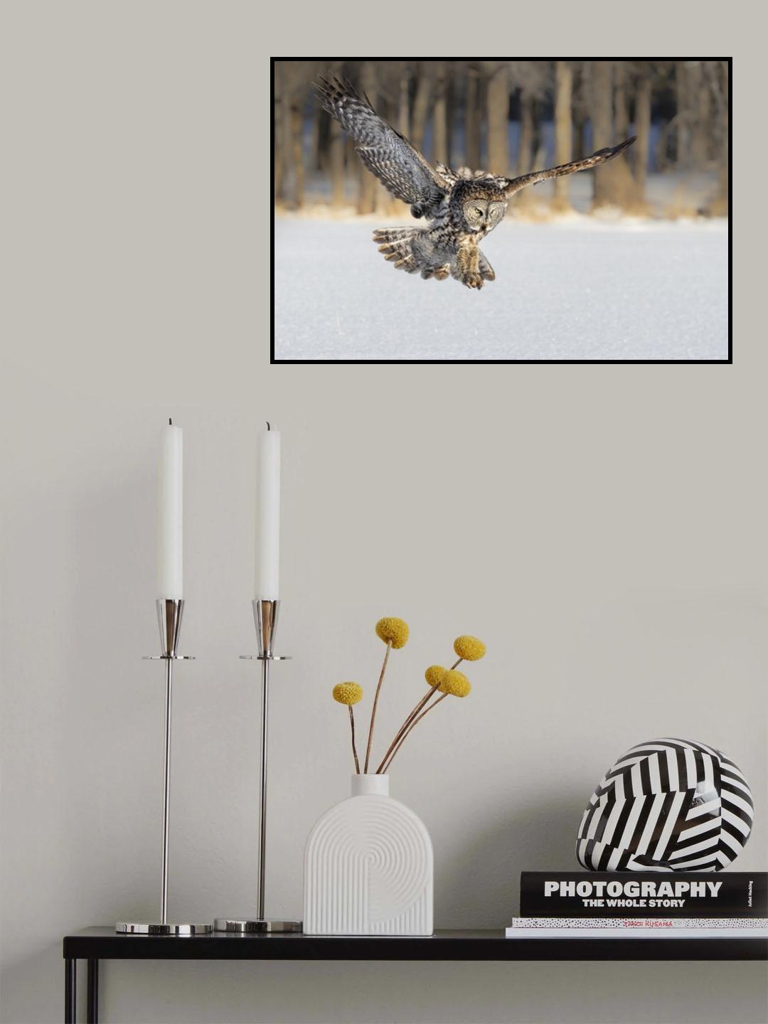 The Morning Catching Poster och Canvastavla