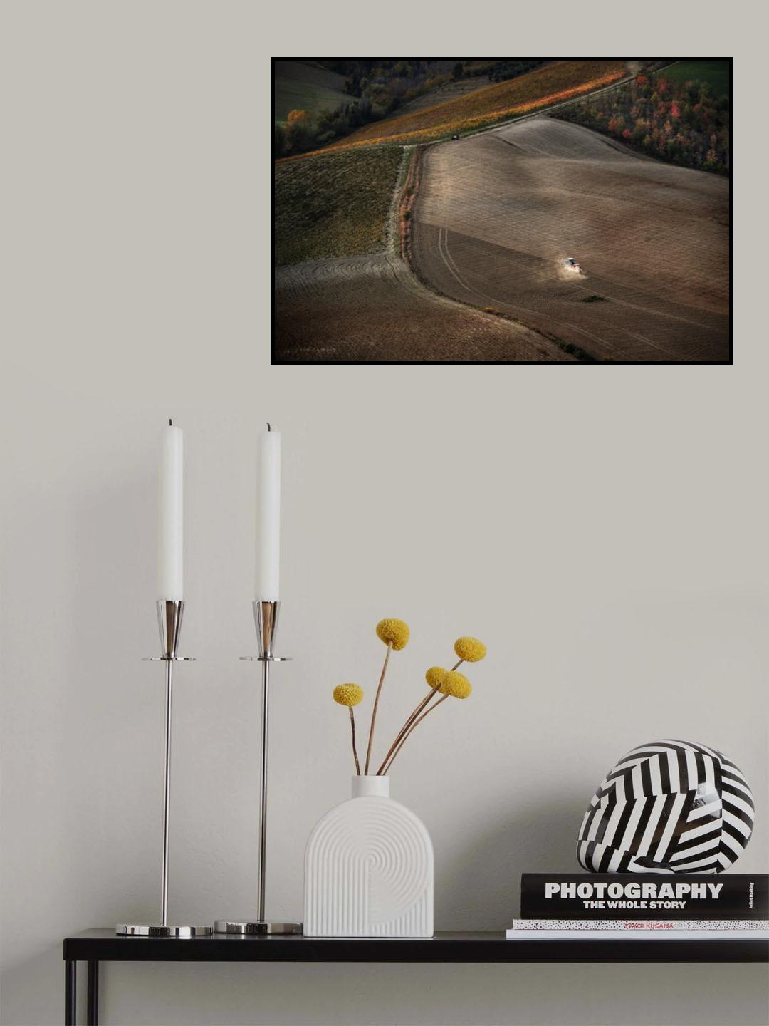 November fields Poster och Canvastavla