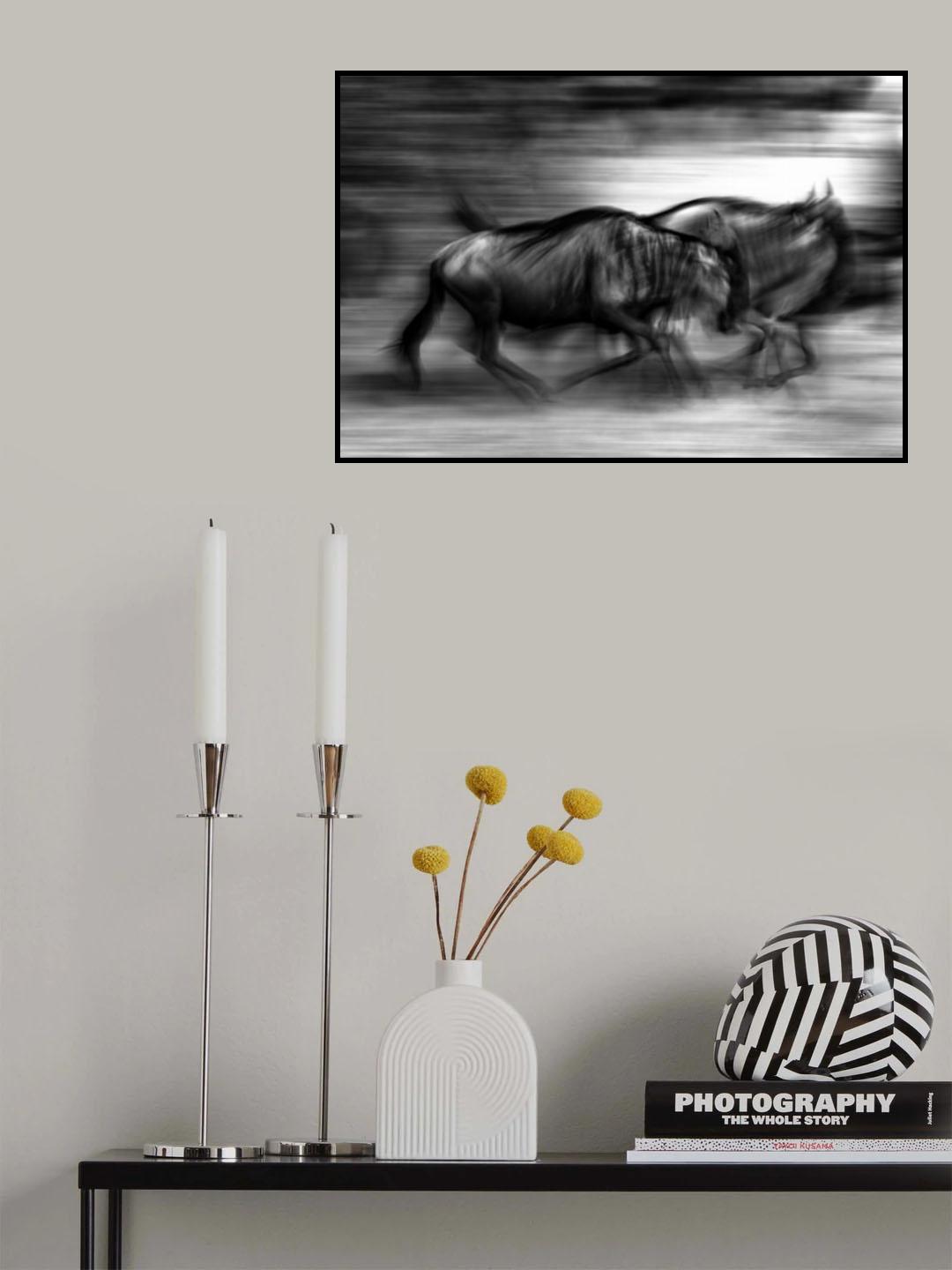 The wildebeest race Poster och Canvastavla