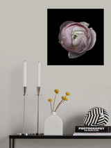 Flower portrait Poster och Canvastavla