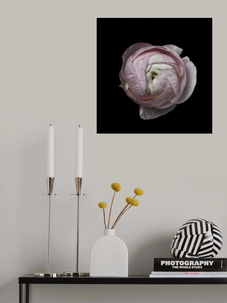 Flower portrait Poster och Canvastavla
