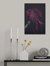 Beauty of a Wilting Daisy Poster och Canvastavla