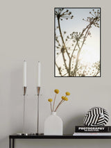 Beach flowers_001 Poster och Canvastavla
