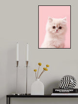 Kitty 4 Poster och Canvastavla