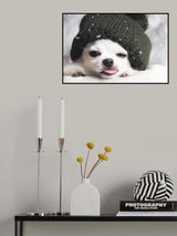 Yah-boo Poster och Canvastavla