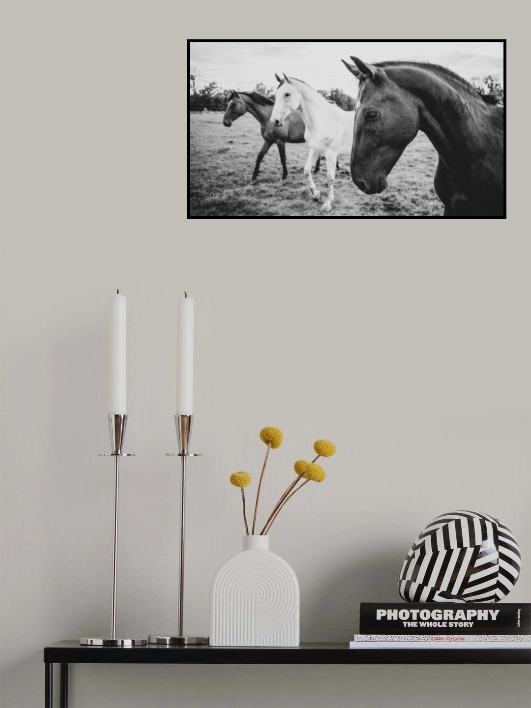 a short story about the foreground Poster och Canvastavla