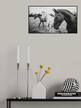 a short story about the foreground Poster och Canvastavla