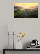 Tuscany Morning Poster och Canvastavla